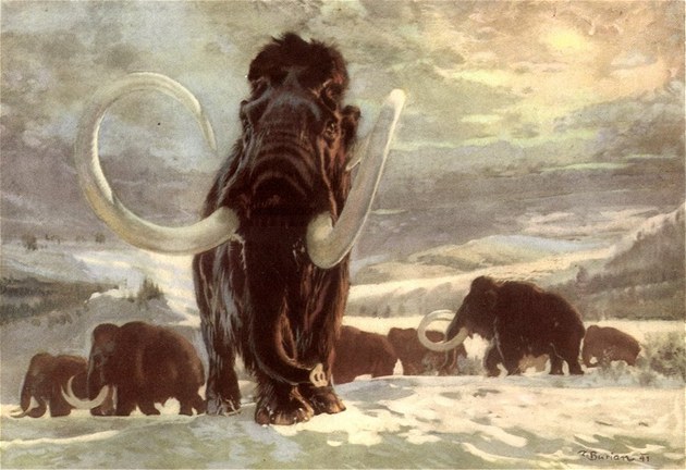 mamut zima